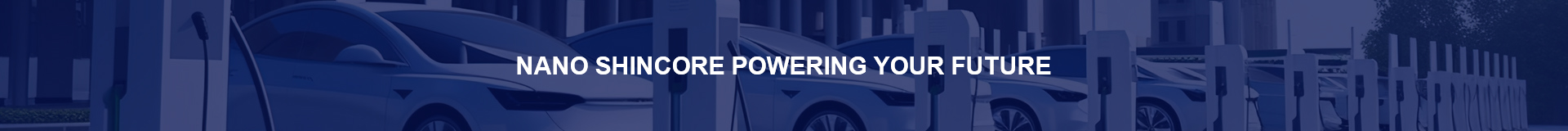 SHIN CORE TECHNOLOGY (HK) LIMITED.